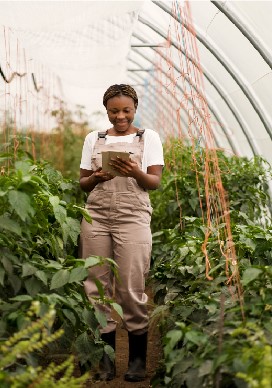Initiation à l’agriculture numérique